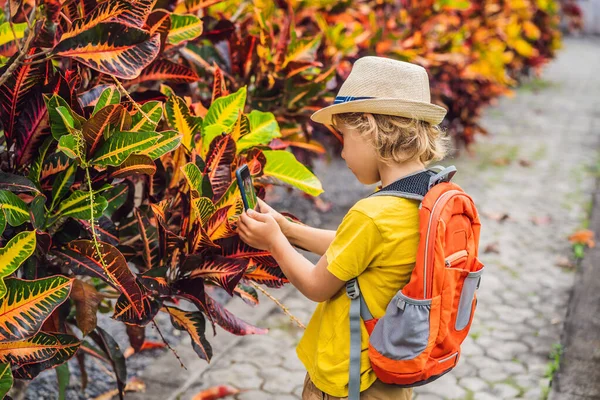 Хлопчик ідентифікує рослини за допомогою програми на смартфоні. доповнена реальність — стокове фото
