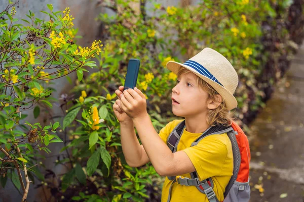 Çocuk bitkileri akıllı telefondan tanımlıyor. Artırılmış gerçeklik — Stok fotoğraf