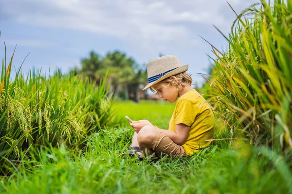 Jongen spelen telefoon zitten op het groene gras, moderne kinderen, nieuwe technologieën, kinderen afhankelijkheid van de telefoon — Stockfoto