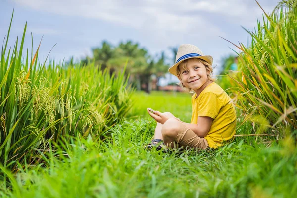 Мальчик играет в телефон сидя на зеленой траве, современные дети, новые технологии, детская зависимость от телефона — стоковое фото