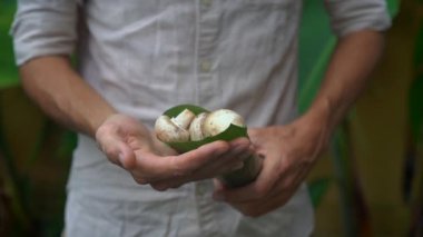 Çevre dostu ürün ambalaj konsepti. Sebzeler bir muz yaprağı sarılmış, plastik bir torba alternatif olarak. Sıfır atık kavramı. Alternatif ambalaj