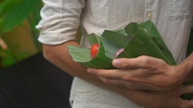 Çevre dostu ürün ambalaj konsepti. Sebzeler bir muz yaprağı sarılmış, plastik bir torba alternatif olarak. Sıfır atık kavramı. Alternatif ambalaj