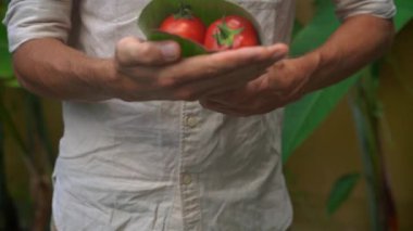 Çevre dostu ürün ambalaj konsepti. Sebzeler bir muz yaprağı sarılmış, plastik bir torba alternatif olarak. Sıfır atık kavramı. Alternatif ambalaj