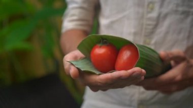 Çevre dostu ürün ambalaj konsepti. Sebzeler bir muz yaprağı sarılmış, plastik bir torba alternatif olarak. Sıfır atık kavramı. Alternatif ambalaj