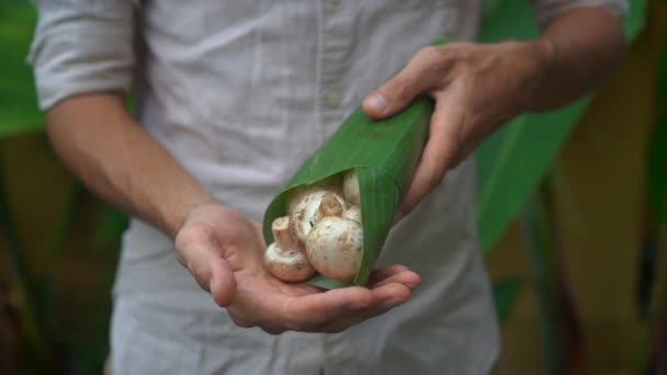 Conceito de embalagem de produto ecológico. Legumes embrulhados em uma folha de banana, como uma alternativa a um saco plástico. Zero conceito de desperdício. Embalagem alternativa — Vídeo de Stock