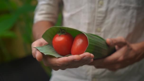 Umweltfreundliches Produktverpackungskonzept. Gemüse, in ein Bananenblatt gewickelt, als Alternative zu einer Plastiktüte. Null-Abfall-Konzept. Alternative Verpackungen — Stockvideo