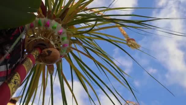 Steadicam shot van decoraties gemaakt op een ingang van balinese huis om Galungan vakantie te vieren. Het culturele leven van Bali concept — Stockvideo