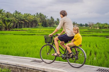 Baba oğul Ubud, Bali 'de pirinç tarlasında bisiklet sürüyorlar. Çocuk konseptiyle Bali 'ye seyahat
