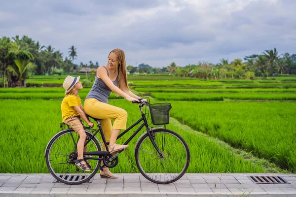 Мать и сын катаются на велосипеде на рисовом поле в Убуде, Бали. Путешествие на Бали с детской концепцией — стоковое фото