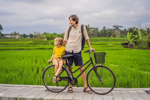 Otec a syn jezdí na kole na rýžovém poli v Ubud na Bali. Cestování na Bali s dětskou koncepcí — Stock fotografie