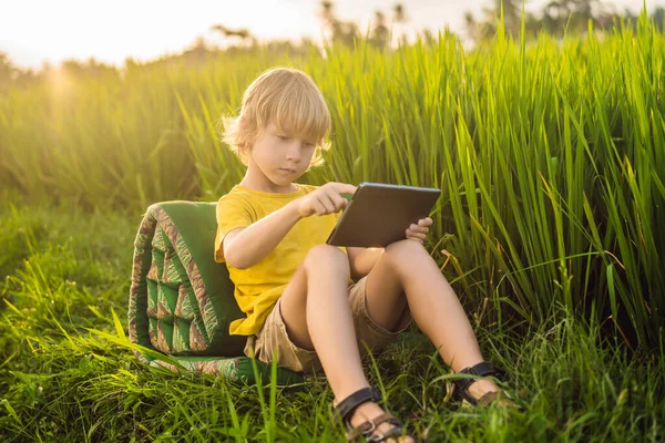 Sahada tablet tutan mutlu çocuk. Güneşli bir günde çimenlerin üzerinde oturan çocuk. Evde eğitim veya tablet oynama