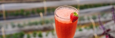 The traditional strawberry juice in Bali in the Bedugul area. Cafe on a strawberry plantation Bali. A popular destination in tourism. Attraction of Bali BANNER, LONG FORMAT