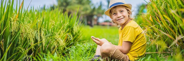 Niño jugando teléfono sentado en la hierba verde, niños modernos, nuevas tecnologías, la dependencia de los niños en el teléfono BANNER, FORMATO LARGO — Foto de Stock