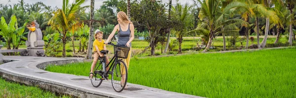 母親と息子はバリ島のウブドの田んぼで自転車に乗っています。子供のコンセプトでバリへの旅行｜バナー、ロングフォーマット — ストック写真