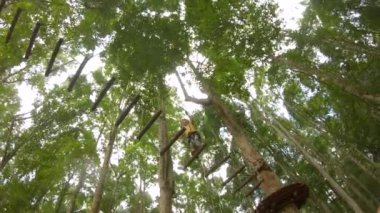 Emniyet kemeri takmış küçük bir çocuğun, orman macerası parkındaki ağaçların tepesinde tırmanırken çekilmiş bir kamera görüntüsü. Yüksek ip izlerine tırmanıyor. Tırmanma faaliyetleri olan açık hava eğlence merkezi