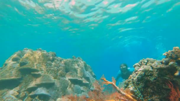 Lassan mozgó felvétel egy fiatalemberről, amint korallok között búvárkodik tiszta kék vízben, körülvéve sok trópusi hallal. — Stock videók