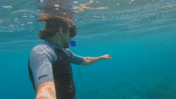 Langzame opname van een jonge man die snorkelt tussen koralen in helder blauw water omringd door veel tropische vissen — Stockvideo