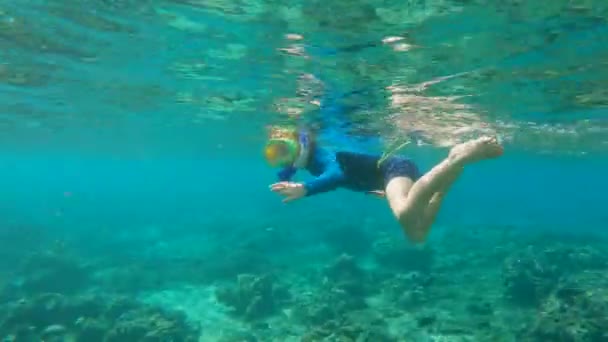 Aktív kisfiú búvárkodás tiszta óceáni vízben körülvéve korallzátonnyal és sok trópusi hallal — Stock videók