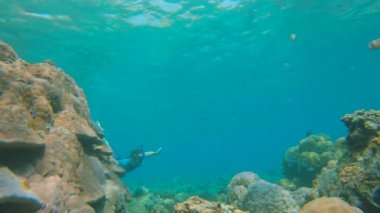 Genç bir adamın, bir sürü tropikal balıkla çevrili berrak mavi sularda şnorkelle dalışının yavaş çekimi.