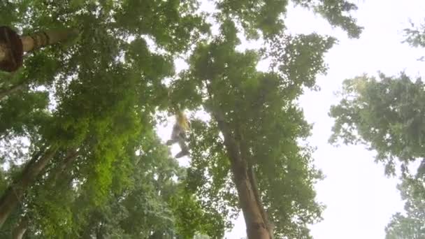 安全ハーネスの小さな男の子のアクションカメラショットは、森林アドベンチャーパークの木の上のルートに登ります。彼は高いロープの道を登る。登山活動と屋外遊園地 — ストック動画