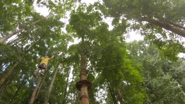 Action kamera foto av en liten pojke i en säkerhetssele klättrar på en rutt i trädtopparna i en skog äventyrspark. Han klättrar på hög rep spår. Friluftsbad med klättringsaktiviteter — Stockvideo