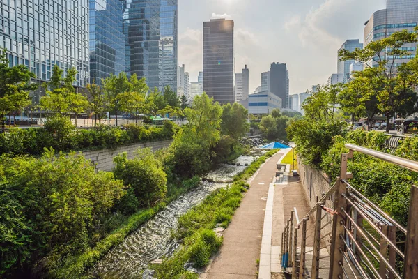 Cheonggyecheon deresi Seul, Kore 'de. Cheonggyecheon akıntısı büyük bir kentsel yenileme projesinin sonucudur. — Stok fotoğraf
