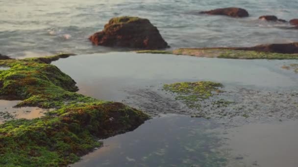 Természetes kis tavacskák tengervízzel a Pantai Tegal Wangi strandon a Bali szigeten — Stock videók