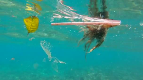 Sampah plastik mengambang di air laut — Stok Video