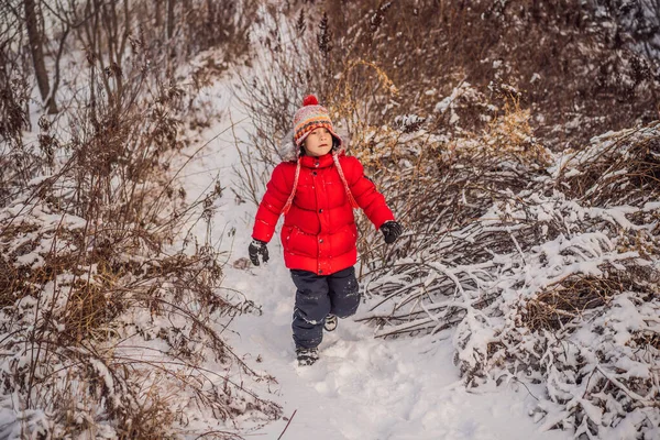 Милый мальчик в красной зимней одежде весело бегает по снегу. Зимние забавы на свежем воздухе — стоковое фото