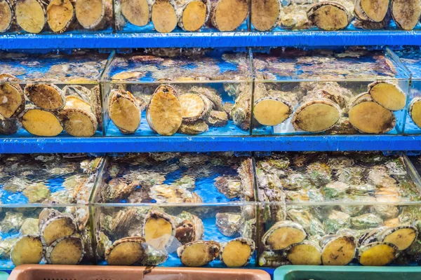 Frutos do mar crus no mercado grossista da pesca em Seul, Coreia do Sul — Fotografia de Stock