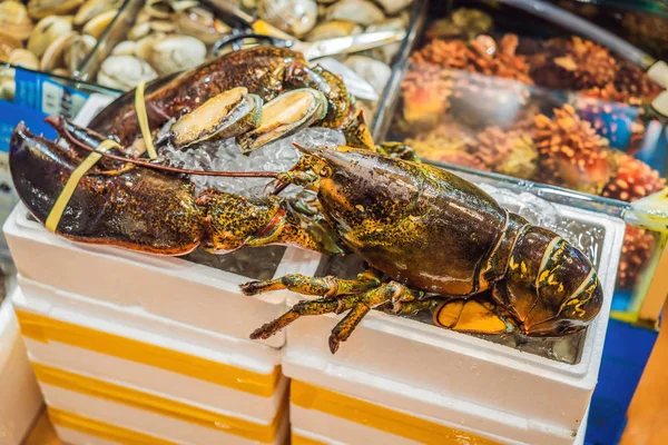 Frutos do mar crus no mercado grossista da pesca em Seul, Coreia do Sul — Fotografia de Stock