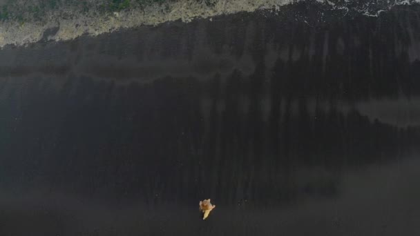 Luftaufnahme einer jungen Frau, die an einem Strand mit schwarzem Vulkansand spazieren geht und Spaß hat — Stockvideo