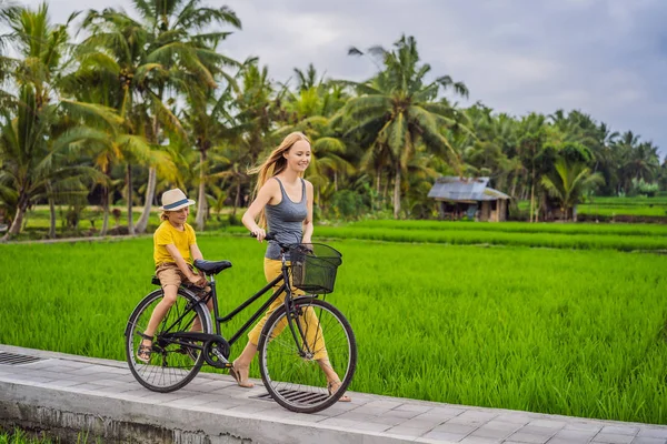Мать и сын катаются на велосипеде на рисовом поле в Убуде, Бали. Путешествие на Бали с детской концепцией — стоковое фото