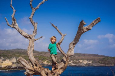Çocuk, Nusa Penida, Bali, Endonezya 'da denizin arka planında Angels Billabong' da bir ağaçta oturuyor. Çocuk konseptiyle Bali 'ye seyahat