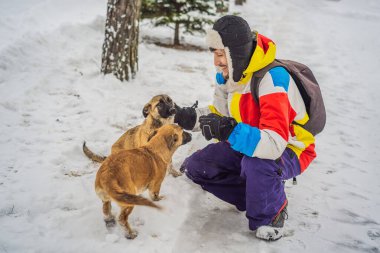 Genç erkek snowboardcu kışın kayak merkezinde yavru köpeklerle oynar.