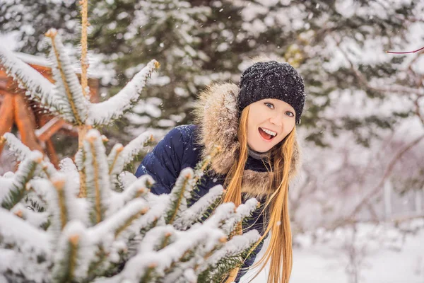 Junge Frau genießt einen verschneiten Wintertag im verschneiten Wald — Stockfoto