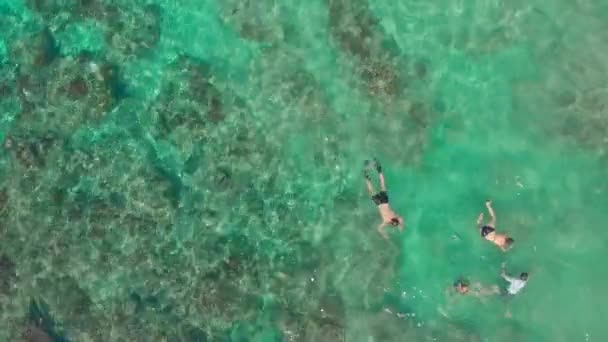 Aerial shot of a diving spot with a lot of diving and snorkeling people in a turqouse clear water. Underwater sport concept — Stock Video