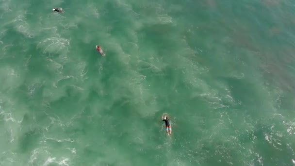 Aerial shot of surfers on a surf spot — Stock Video