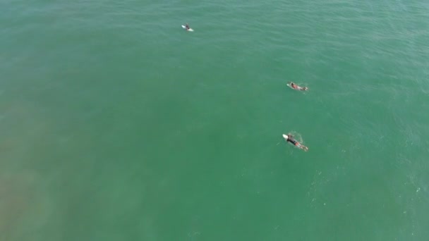 Tiro aéreo de surfistas em um lugar de surfe — Vídeo de Stock