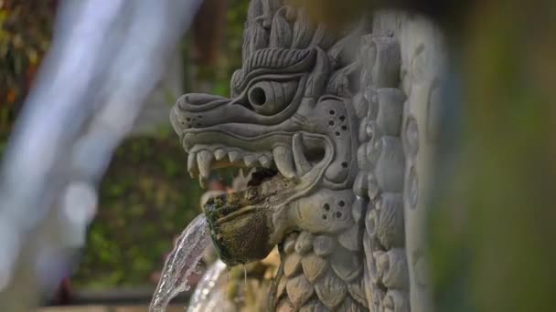 Waterval die uit de drakenmond komt in de beroemde Banjar Hot Springs op Bali. Bali Travel Concept. Langzame schot — Stockvideo