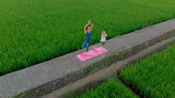 Tiro aéreo de uma jovem treinadora de ioga ensinando menino em um grande campo de arroz bonito durante o pôr do sol. Viagem para a Ásia conceito . — Vídeo de Stock