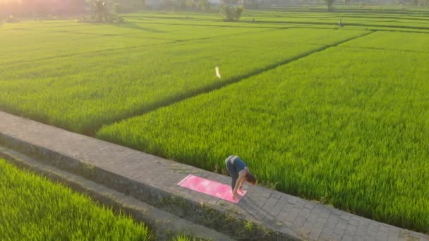 Flygfoto av en ung kvinna som utövar yoga på ett stort vackert risfält under solnedgången. Resor till Asien-konceptet. — Stockvideo