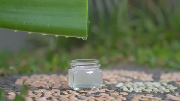 A drop of an aloe juice falling into the small glass jar — 비디오