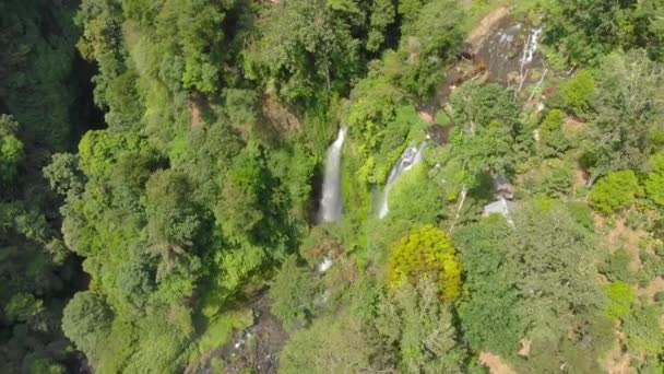 Luchtopname van de grootste waterval van Bali - de Sekumpul waterval. Reis naar Bali concept. — Stockvideo