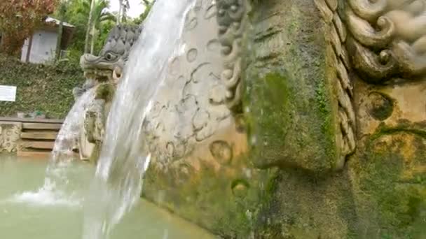 Cascata che esce dalla bocca dei draghi nelle famose sorgenti termali di Banjar sull'isola di Bali. Concetto di viaggio di Bali — Video Stock