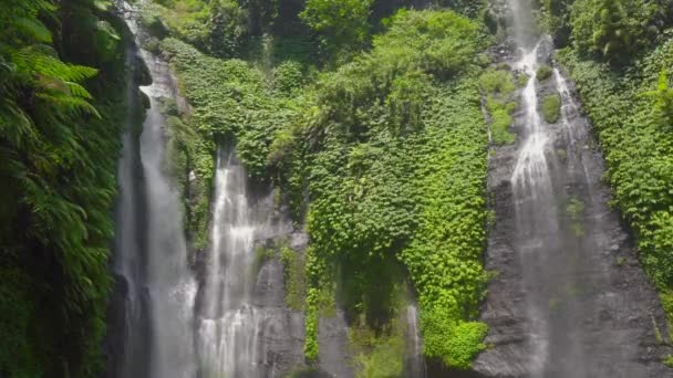 La più grande cascata dell'isola di Bali - la cascata di Sekumpul. Viaggio a Bali concetto . — Video Stock