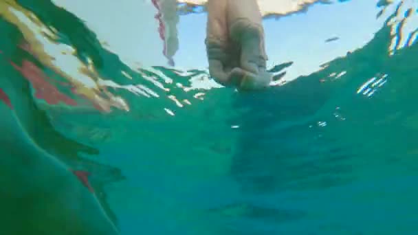 Underwater shot - woman feeding tropical fishes. Holidays in tropics concept — Stock Video