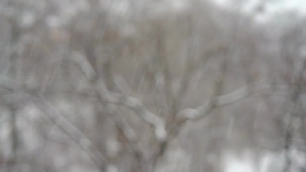 Сильний сніг крізь вікно — стокове відео