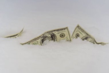 Bir noktada dondurulmuş dolar konsepti, 100 dolar donduruldu.
