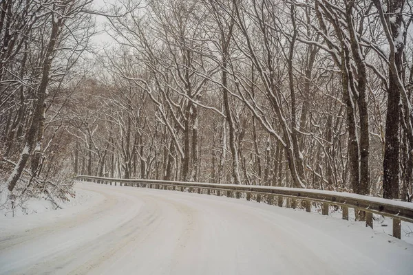 Χειμερινός δρόμος μέσα από χιονισμένα χωράφια και δάση — Φωτογραφία Αρχείου